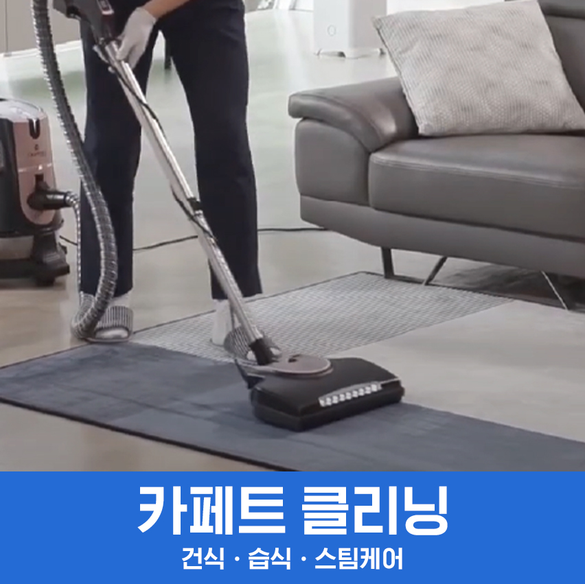 [카페트 케어] 전국서비스 카페트 클리닝 반려동물털 오줌얼룩 제거 방문세탁
