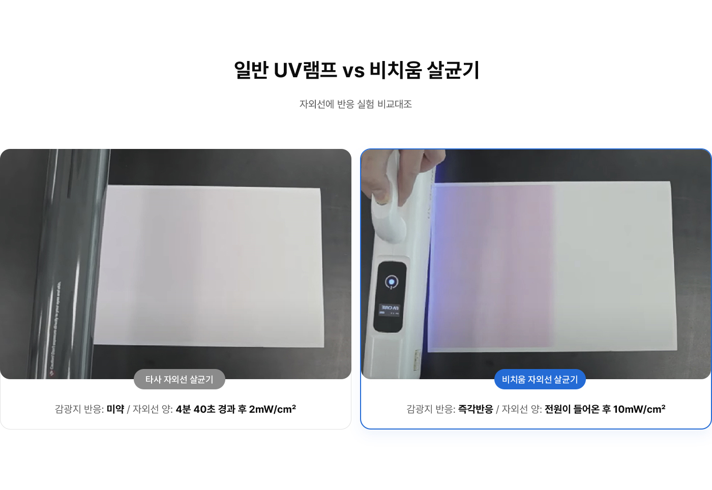 비치움